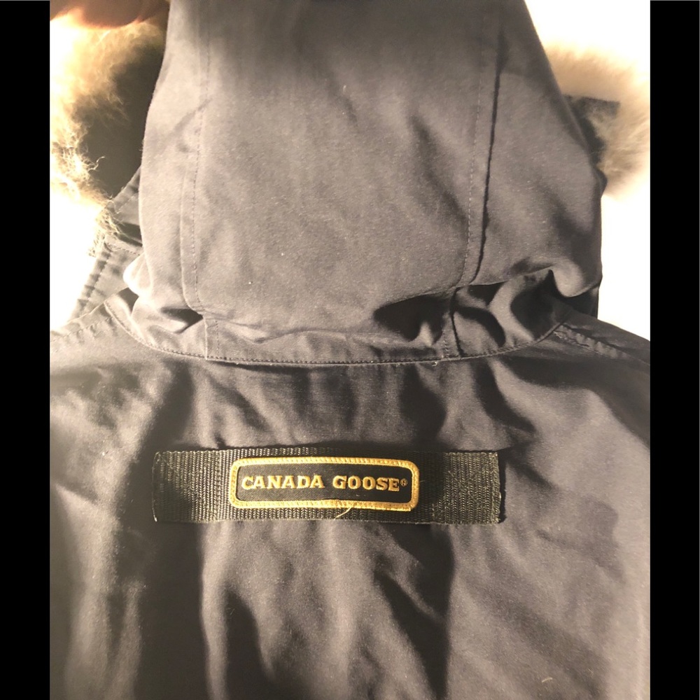Canada Goose